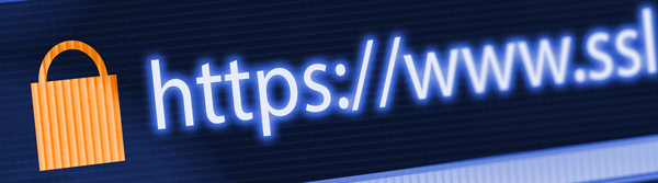 Install GoDaddy SSL on AWS Lightsail or EC2 by Bitnami